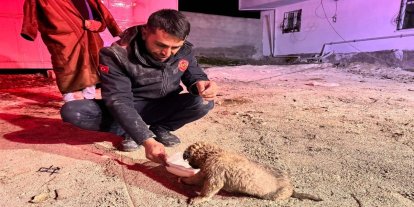 Kuyuya düşen "Yavru boncuk" itfaiye ekiplerince çıkarıldı