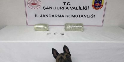 Şanlıurfa’da narkotik operasyonu