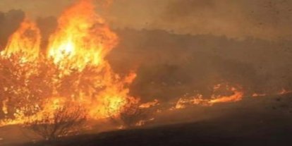 Avustralya'da orman yangınlarında 300 bin hektarlık alan yandı