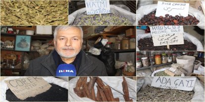 Aktar Yağmurcu: Şifalı bitkiler mevsimsel hastalıklara karşı bağışıklık sistemini güçlendirir