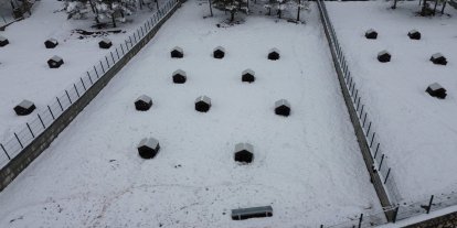 Malatya'nın ikinci hayvan barınağı hizmete başladı