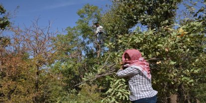 Orman köylüsü ailelere 2,55 milyar liralık ORKÖY desteği