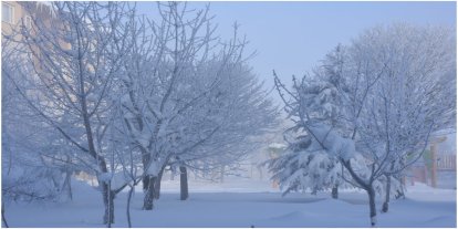 Doğu Anadolu ve Batı Karadeniz için kar uyarısı