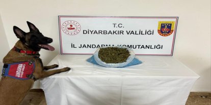Diyarbakır’da narkotik operasyonları: 25 şüpheliye işlem