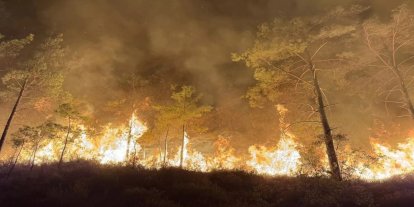 Antalya'da orman yangını