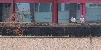 Meteoroloji'den yağmur, kar ve fırtına uyarısı