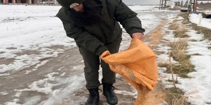 Batman'da orman ekiplerinden yaban hayatına kış desteği