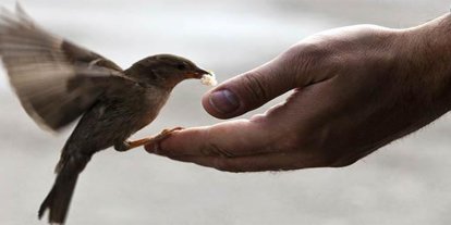 Uzmanlara göre iyiliğin gerçek gücü niyette saklı