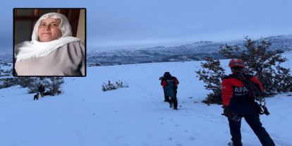 Diyarbakır'da kaybolan kadını arama çalışmaları 3'üncü gününde