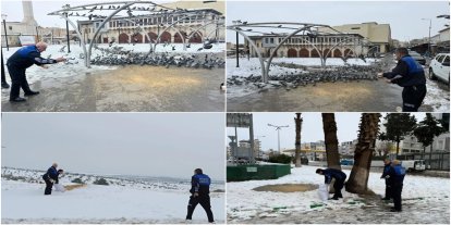 Gaziantep'te sokak hayvanları ve kuşlar için sokak aralarına yem bırakıldı