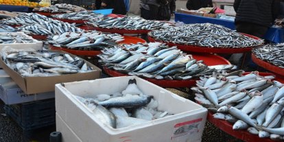 Soğuk hava balık tezgahlarına da vurdu