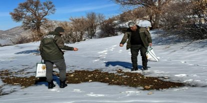 Batman'da yaban hayvanları için yem bırakıldı