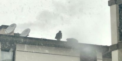 Malatya'da TOKİ çalışanı darp edildiği iddiasıyla çatıya çıkarak yardım istedi