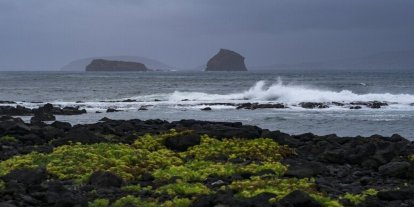 Portekiz'de kasırgan nedeniyle yüzbinlerce ev halen elektriksiz