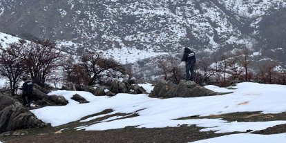 Yaban hayvanları için doğaya yem desteği