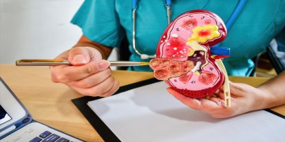 Kadınlar, yaşlılar ve hamileler için uyarı: İdrar yolu enfeksiyonu sessiz ilerleyebiliyor