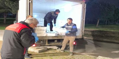 Bursa’da yaklaşık bir ton balığa el konuldu