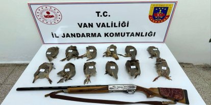 Van'da keklik avlayan kişiye 81 bin lira para cezası