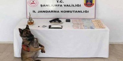 Şanlıurfa’da narkotik operasyonunda para, silah ve uyuşturucu ele geçirildi