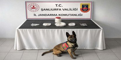 Şanlıurfa’da narkotik operasyonu: 538 gram sentetik uyuşturucu ele geçirildi