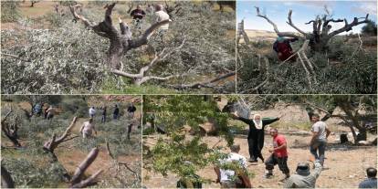 Siyonist işgalcilerde değişen birşey yok: Ekini ve nesli ifsat etmeye devam
