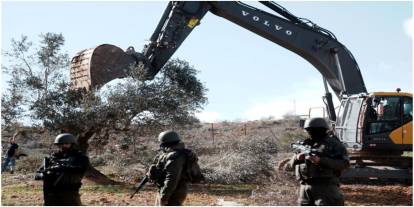 İşgal rejimi, Batı Şeria'da Filistinlilerin zeytin ağaçlarını söküyor