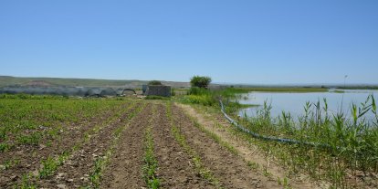 Batman'da çiftçilere kritik uyarı: Barajdan su bırakılacak