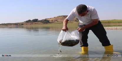 Gaziantep'te sazangiller için av yasağı başladı