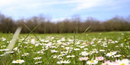 Son cemre toprağa düştü
