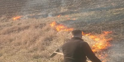 Batman'da anız yangını söndürüldü