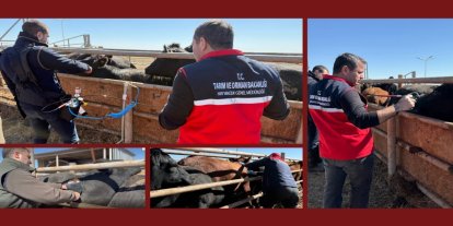 Aşıların "iğnesiz enjeksiyon yöntemi" ile uygulanmasına yönelik ilk adım