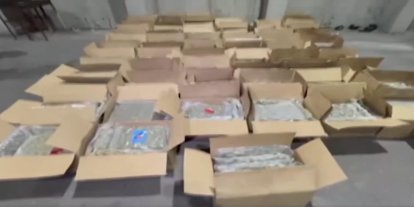 Küçükçekmece’de uyuşturucu operasyonu: 527 kilo skunk ele geçirildi