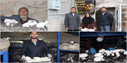 Şırnak'ta tarihi mağara mantar üretim tesisine dönüştü