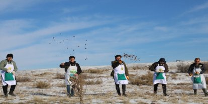 Yozgat’ta ağaçlandırma çalışmaları kapsamında sedir tohumları toprakla buluşturuldu