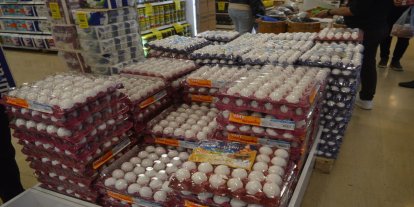 Yumurta fiyatlarında sert düşüş: 30’lu koli 100 TL’ye kadar geriledi