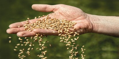 Siyonist işgal rejiminden tohum alınıyor mu? Bakan açıkladı