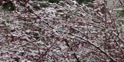 Kar yağışının etkili olduğu Malatya'da üreticilere don uyarısı