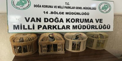 Van'da kafes avcılığı yapan kişiye 86 bin lira ceza kesildi