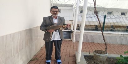 Yaralı balıkçıl kuşu cami avlusuna sığındı