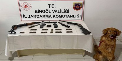 Bingöl’de silah ve mühimmat ele geçirildi: 1 gözaltı