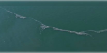 İzmir Körfezi'nde kirlilik alarmı