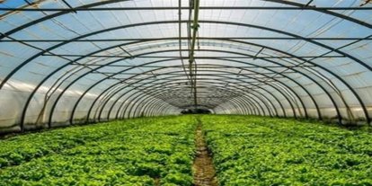 Batman'da çiftçilere yüzde 50 hibeli sera desteği başvuruları başladı