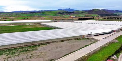 Samsun’da sera organize tarım bölgesi üretim üssü haline geliyor