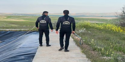 Şanlıurfa’da gölete düşen tilki kurtarıldı