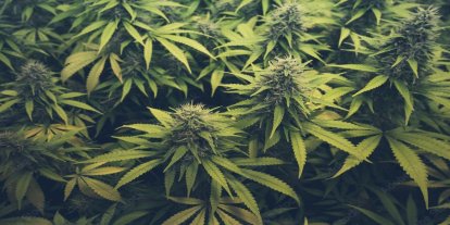 MİT ve Suriye narkotik birimlerinden ortak operasyon