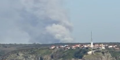 İstanbul’da iki ilçede çıkan orman yangınları kontrol altına alındı