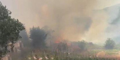 İstanbul Beykoz’da ormanlık alanda yangın