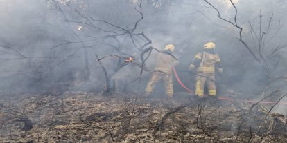 İstanbul'un 2 ilçesinde çıkan orman yangınları kontrol altına alındı