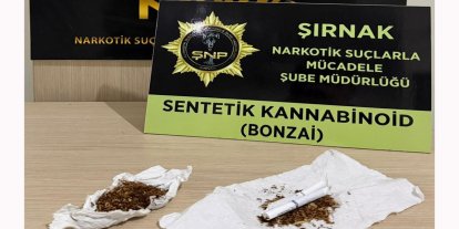 Şırnak'ta 610 milyon TL'lik kaçakçılık operasyonları