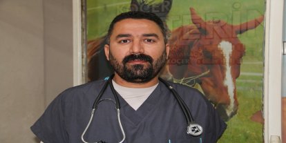Veteriner hekimler, hak ettikleri değeri görmediklerinden şikâyetçi